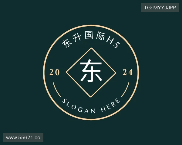 纵览东升国际h5